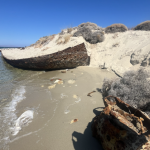 Winter Online Course 2026 - Gallipoli